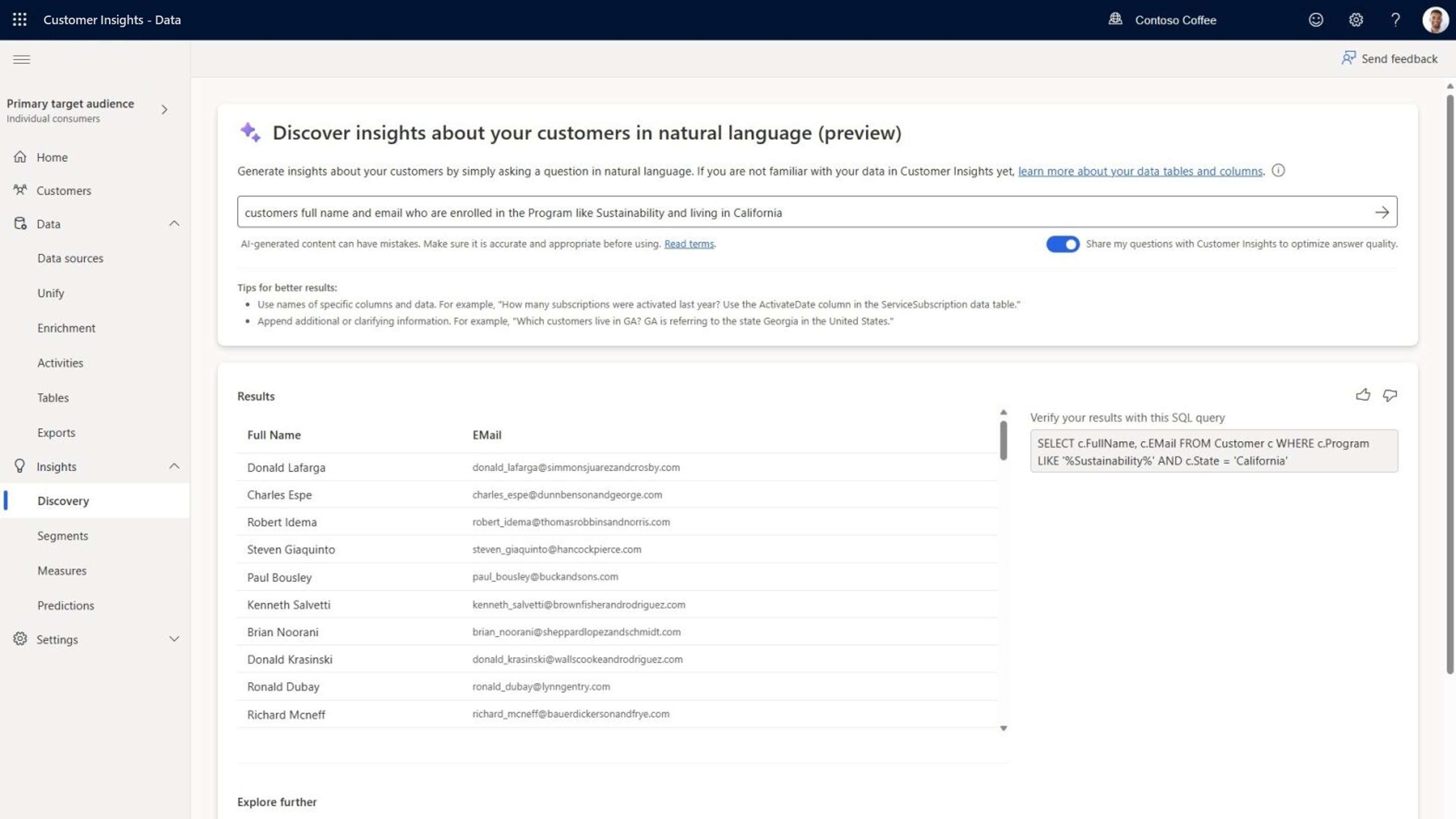 Customer Discovery with Copilot screenshot 10